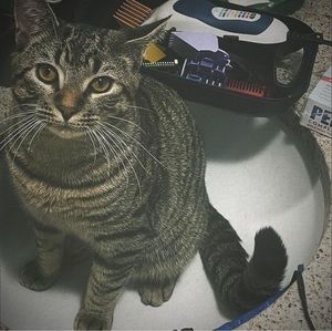 Meet your Posher, Nick